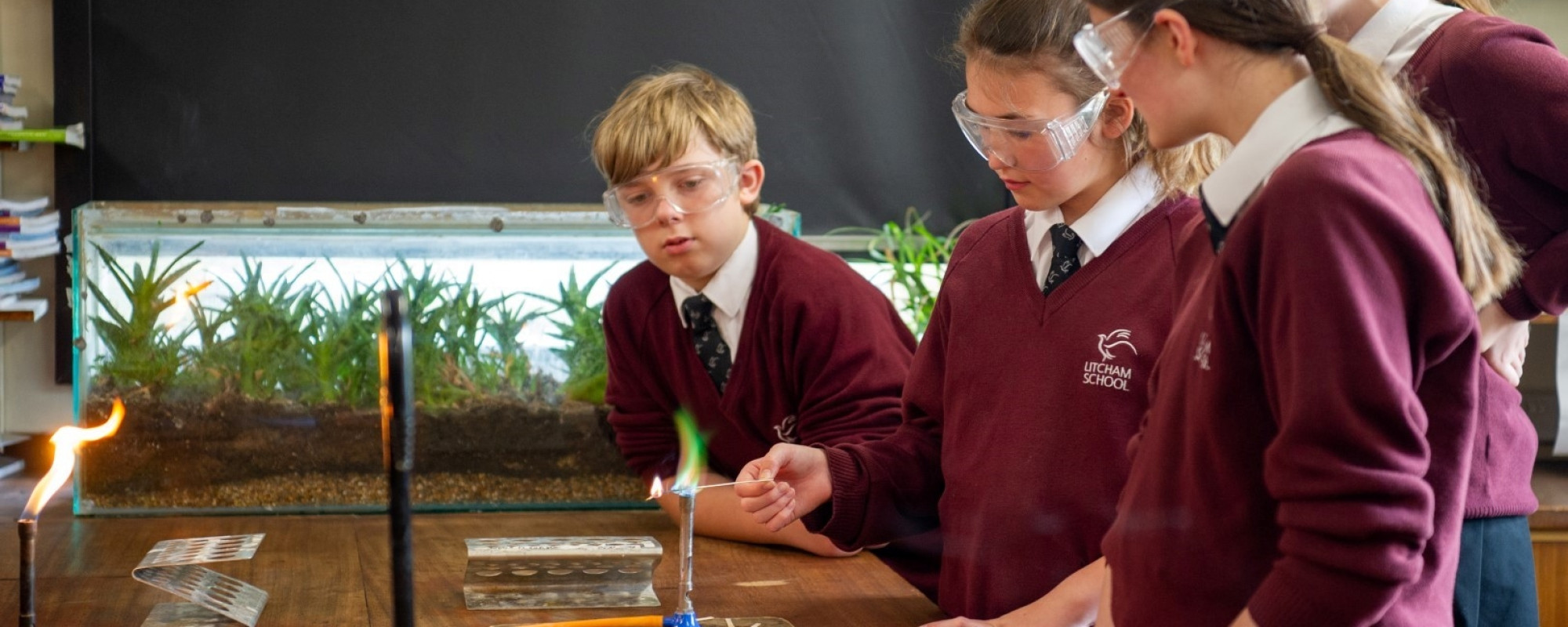 Pupils doing science