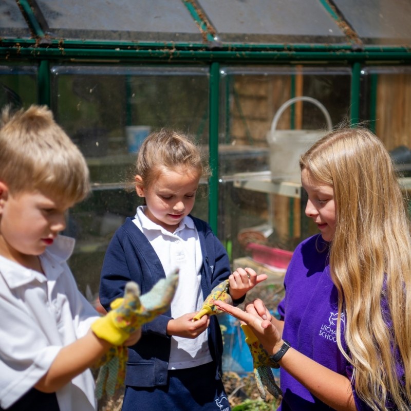 Three students gardening