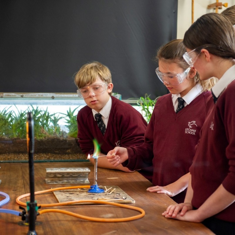 Pupils doing science