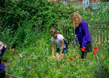 Pupils in grounds