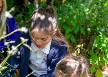In the grounds