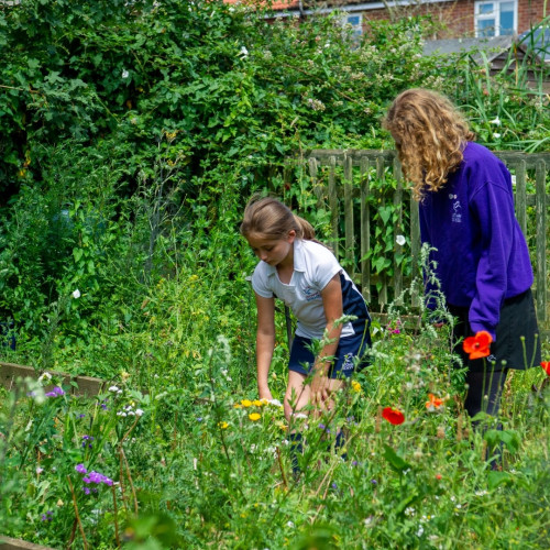 Pupils in grounds