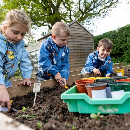 Primary in the grounds