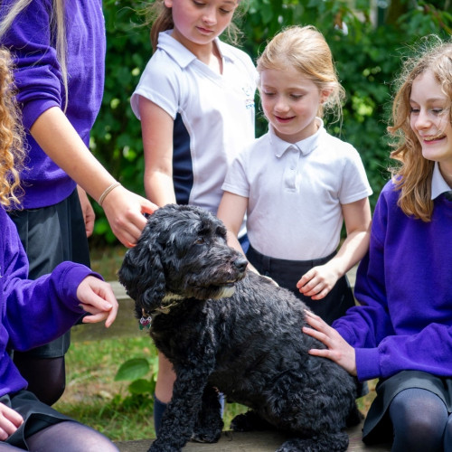Litcham School (4)