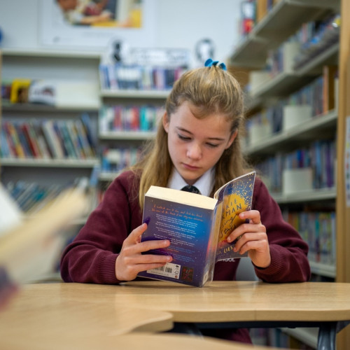 Litcham School (14)