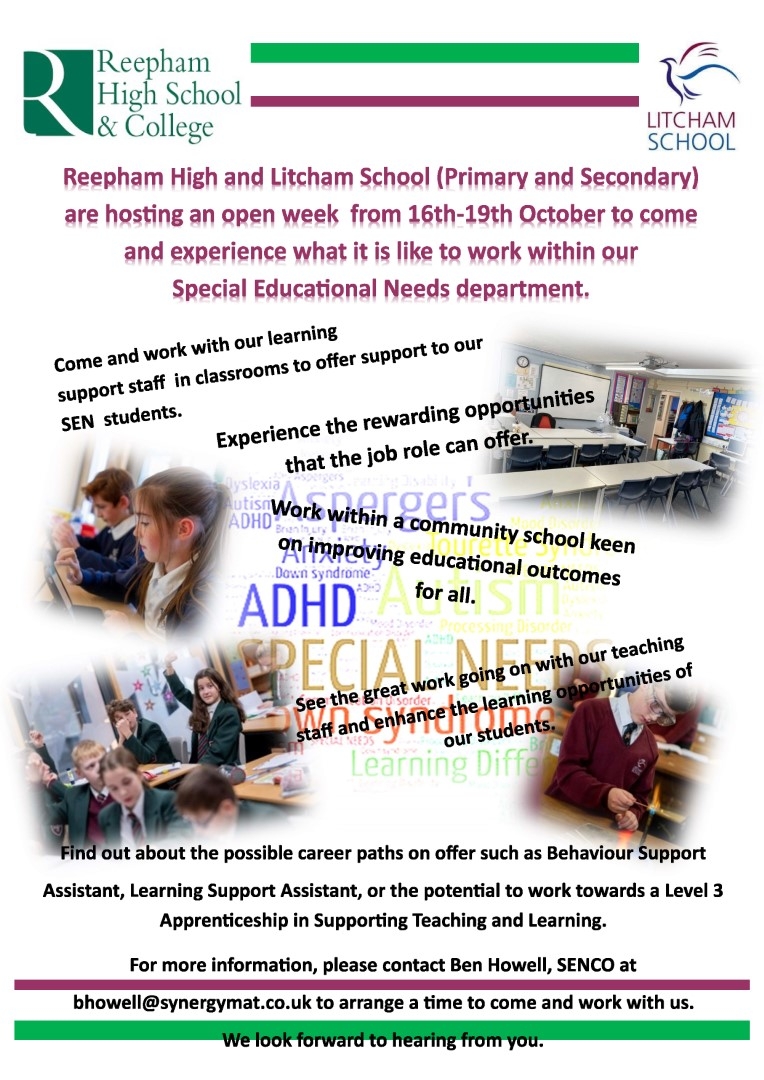 Litcham School | Synergy Multi-Academy Trust - SEN experience week 16 ...